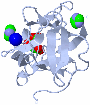 Image Biological Unit 1