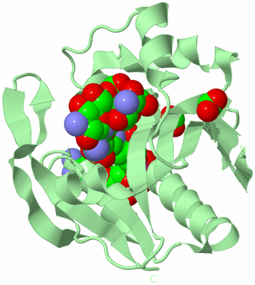 Image Biological Unit 2