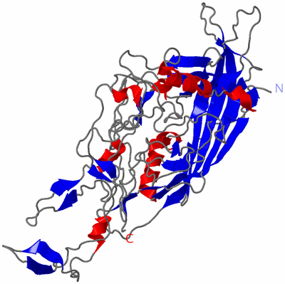 Image Asymmetric Unit