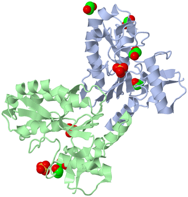 Image Biological Unit 1