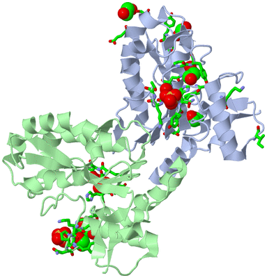 Image Biol. Unit 1 - sites