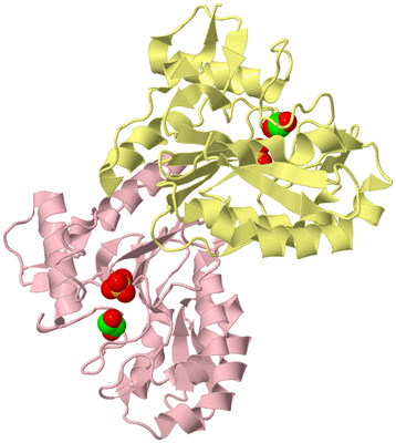 Image Biological Unit 2