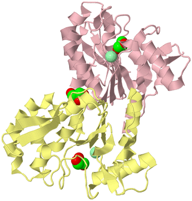 Image Biological Unit 2