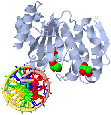 Image Biological Unit 1