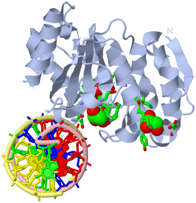 Image Biol. Unit 1 - sites