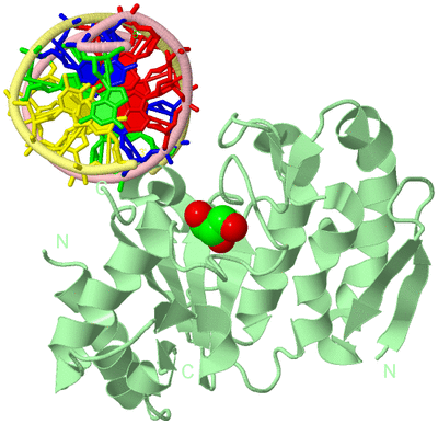 Image Biological Unit 2