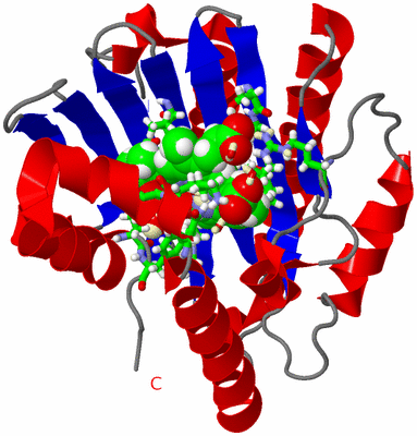 Image Asym./Biol. Unit - sites