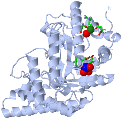 Image Biol. Unit 1 - sites