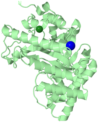 Image Biological Unit 2