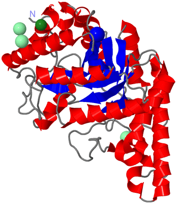 Image Asym./Biol. Unit