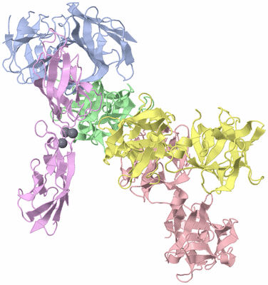 Image Biological Unit 1