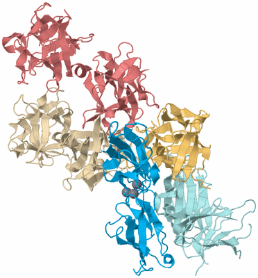 Image Biological Unit 2