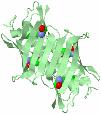 Image Biological Unit 2