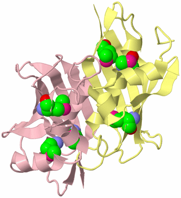 Image Biological Unit 3