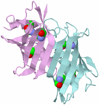 Image Biological Unit 4