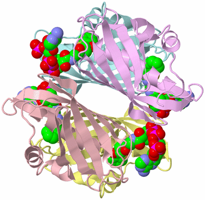 Image Biological Unit 2