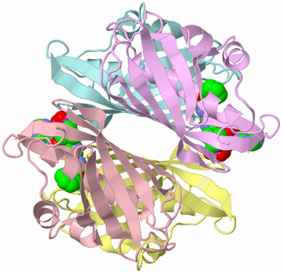 Image Biological Unit 3