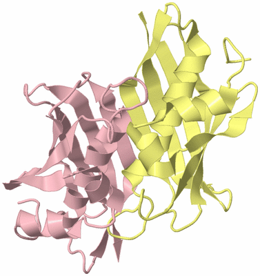 Image Biological Unit 3