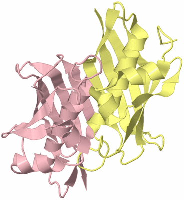 Image Biological Unit 3