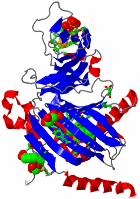 Image Asym. Unit - sites