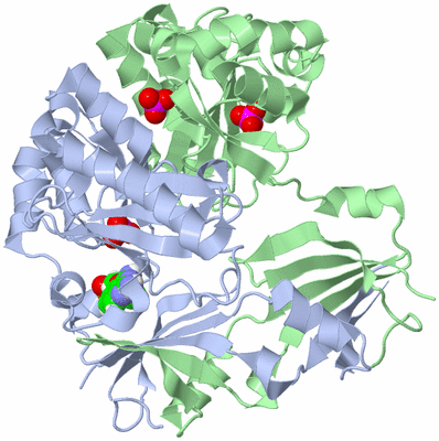 Image Biological Unit 1