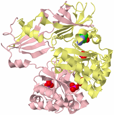 Image Biological Unit 2