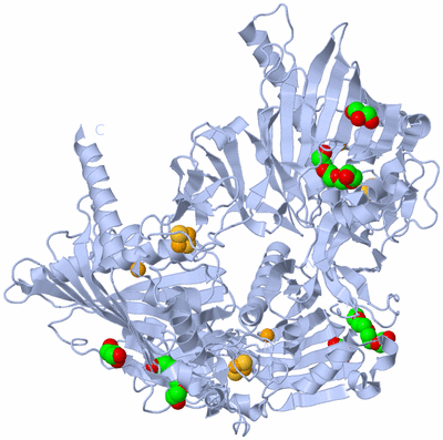 Image Biological Unit 1