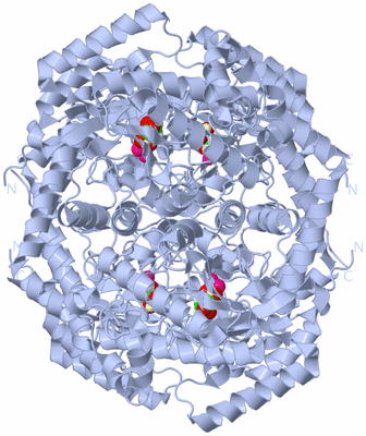 Image Biological Unit 1