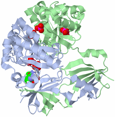 Image Biological Unit 1