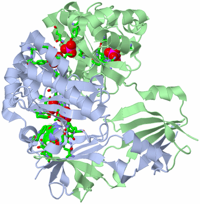 Image Biol. Unit 1 - sites