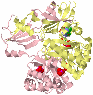 Image Biological Unit 2