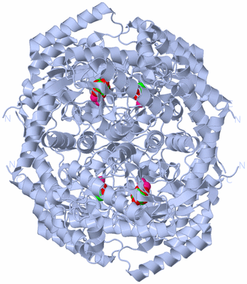 Image Biological Unit 1