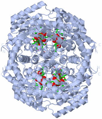 Image Biol. Unit 1 - sites