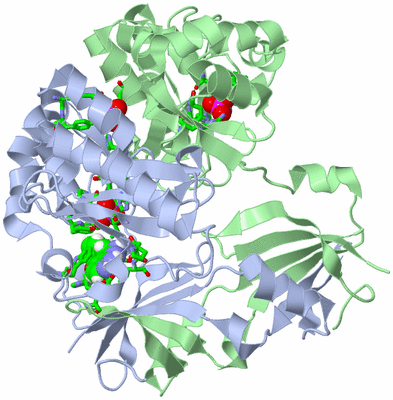 Image Biol. Unit 1 - sites