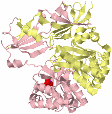 Image Biological Unit 2