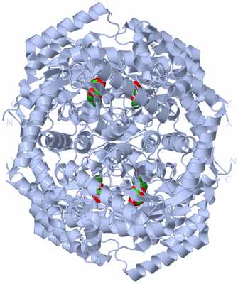 Image Biological Unit 1