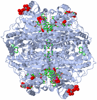 Image Biol. Unit 1 - sites