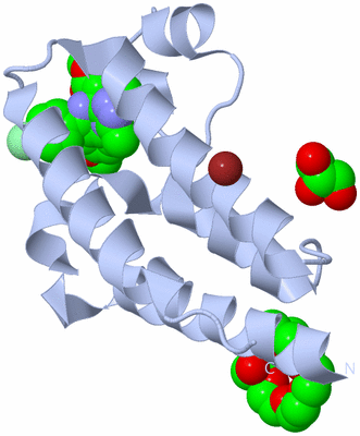 Image Biological Unit 1