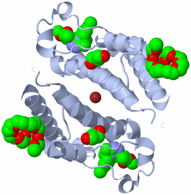 Image Biological Unit 2