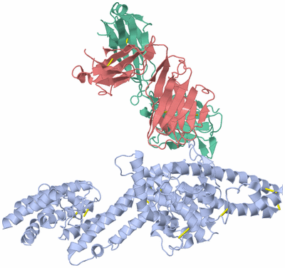 Image Biological Unit 1
