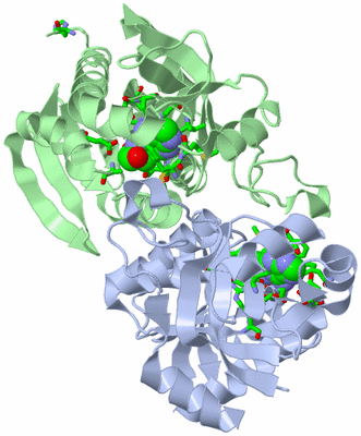 Image Biol. Unit 1 - sites