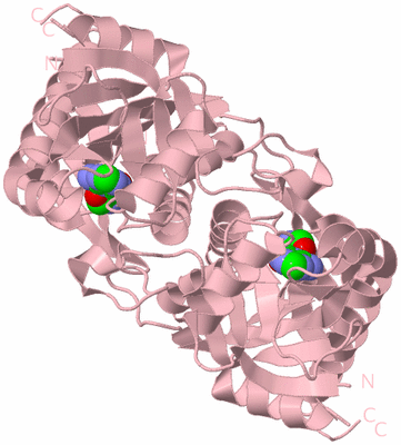 Image Biological Unit 2