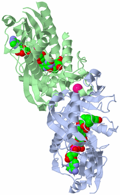 Image Asym./Biol. Unit