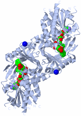 Image Biological Unit 1