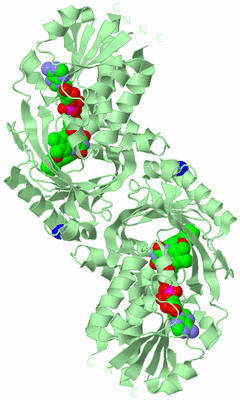 Image Biological Unit 2