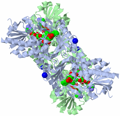 Image Biological Unit 3