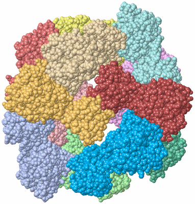 Image Asym./Biol. Unit