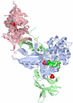 Image Biological Unit 1