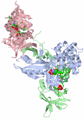 Image Biol. Unit 1 - sites