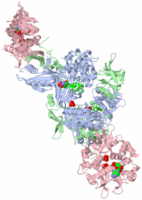 Image Biological Unit 2